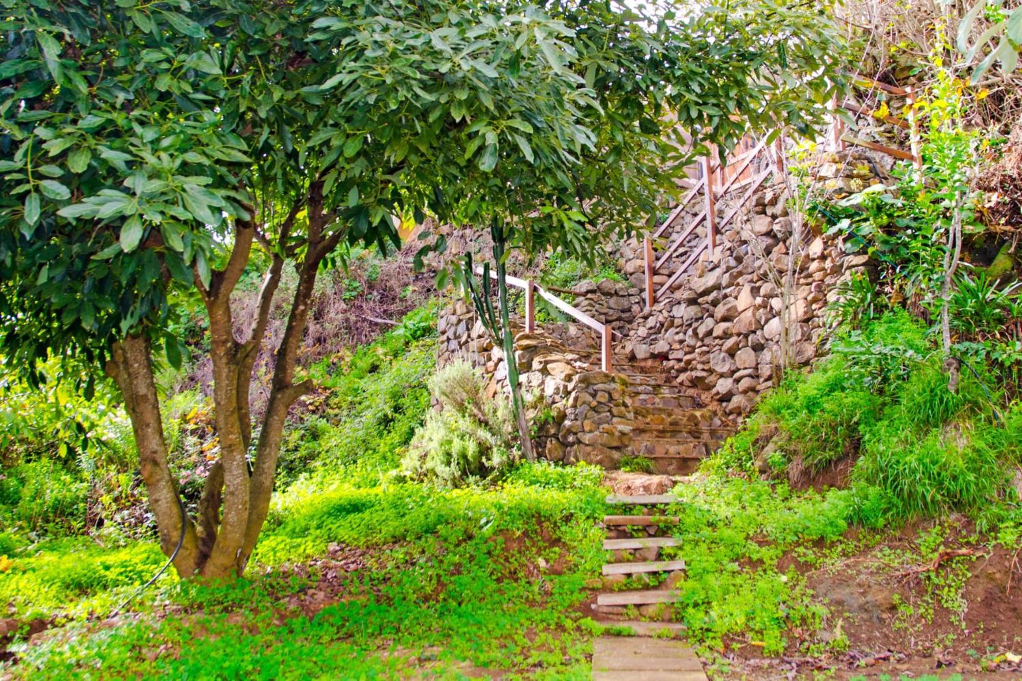 Zenda De Fontanales Vila Moya  Exterior foto
